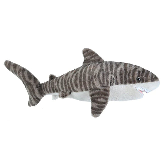 CK TIGER SHARK