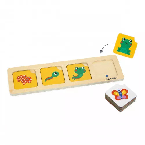 SEQUENCE CARDS