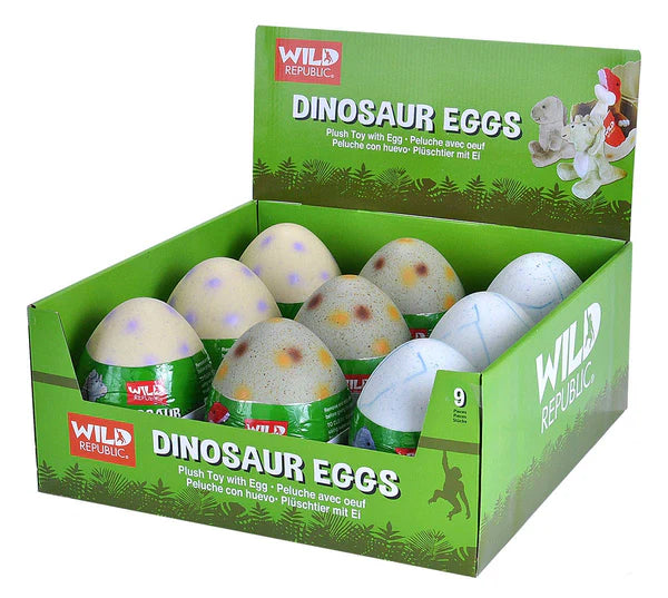 DINOSAUR EGGS