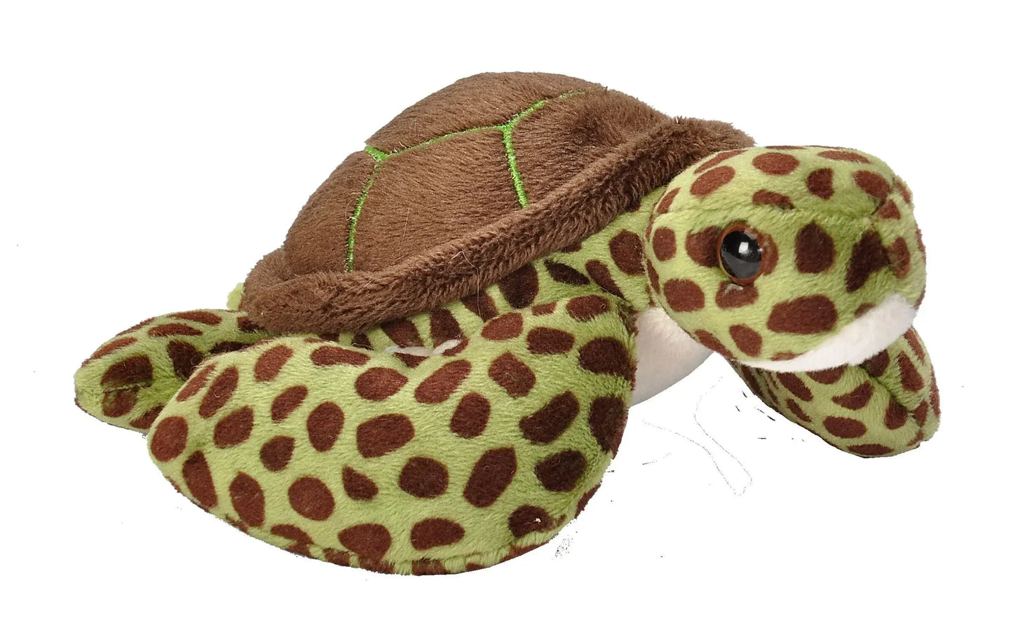 POCKETKINS GREEN SEA TURTLE