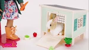 RABBIT HUTCH W/PET & ACCESSORIES