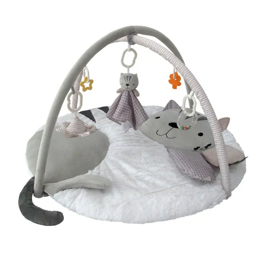 Gimnasio Didáctico Carestino GATITO