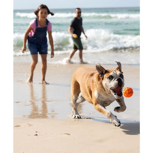 Tailwind Retrieval Ball