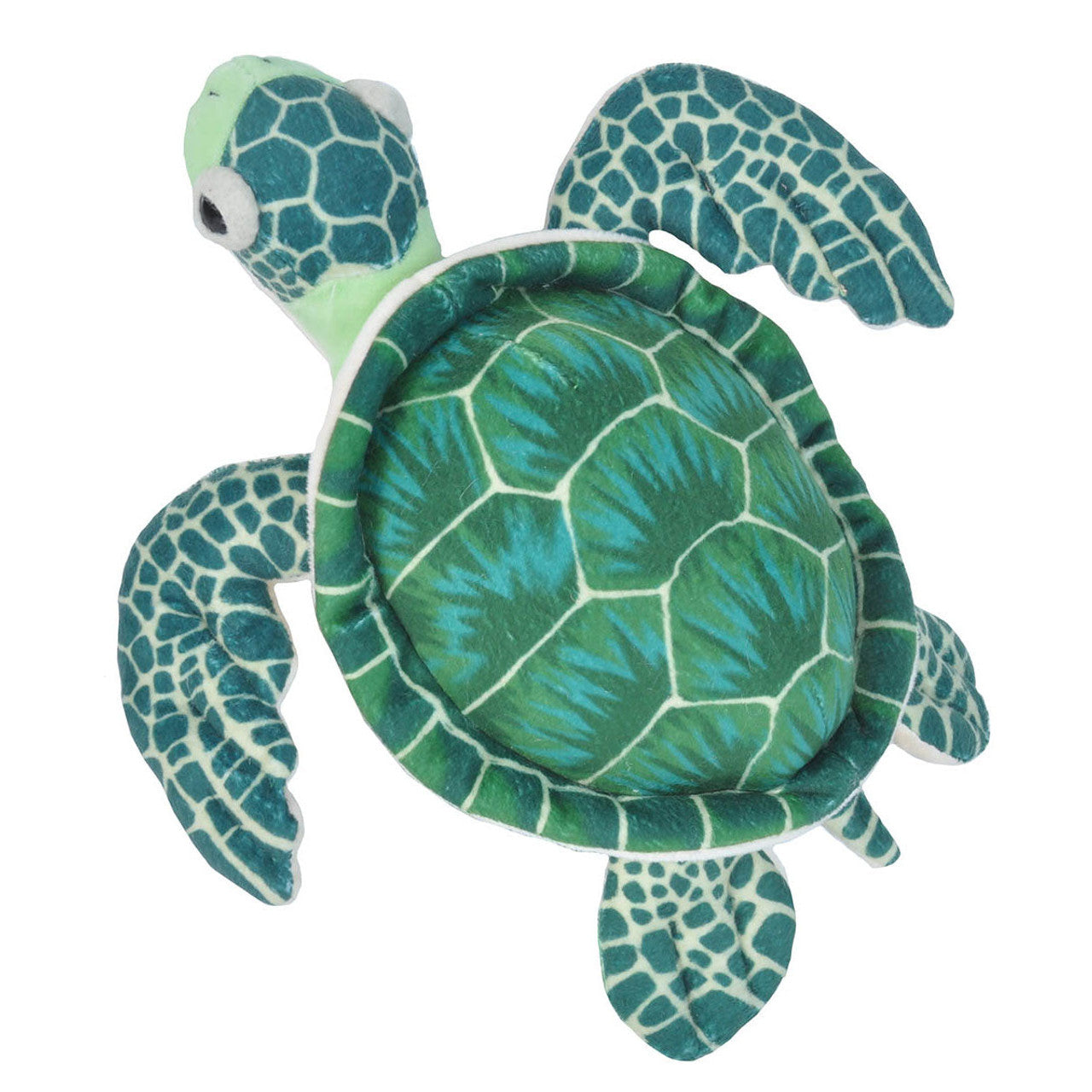 CK-MINI GREEN SEA TURTLE