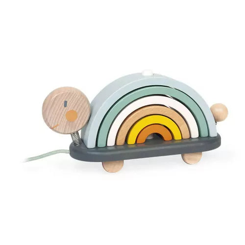 RAINBOW TURTLE