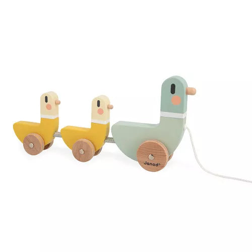 PULL-ALONG DUCKS