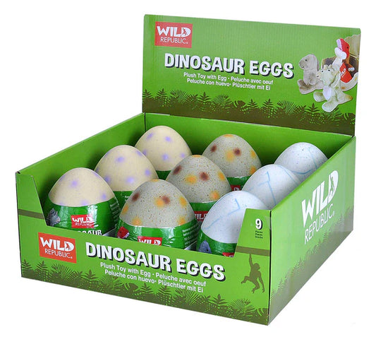 DINOSAUR EGGS