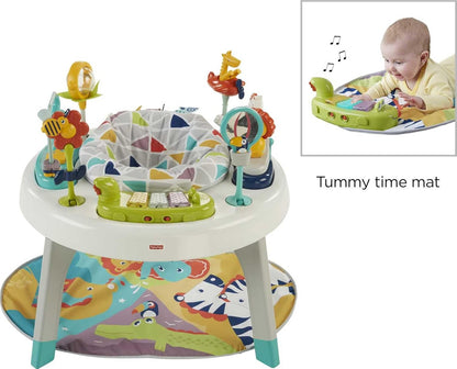 Fisher Price DDC 3 in 1 Sit to Stand