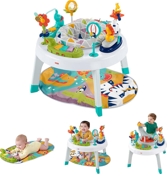 Fisher Price DDC 3 in 1 Sit to Stand