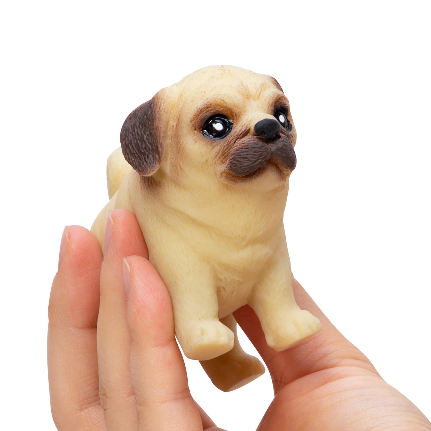 POCKET PUP