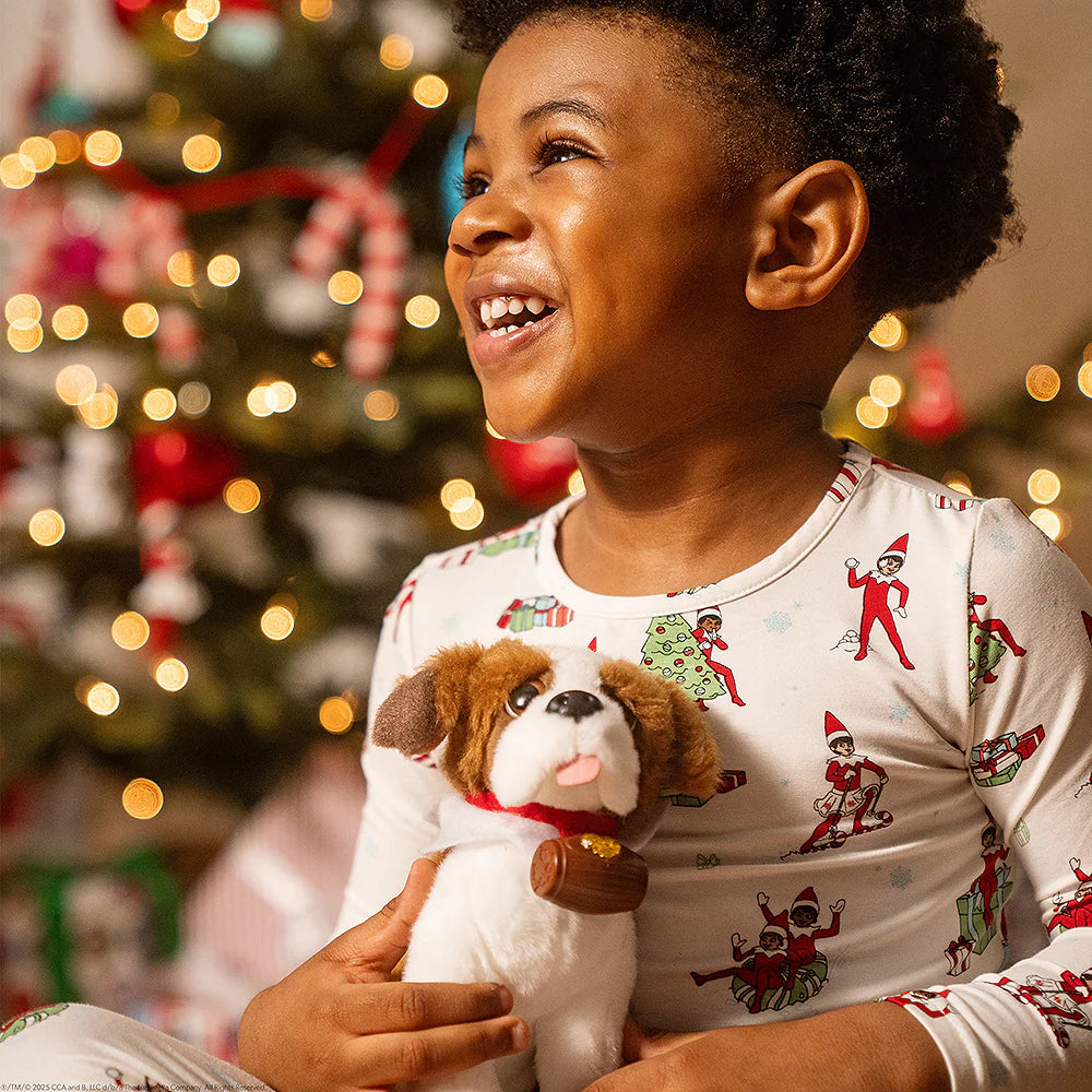 ELF PETS®: SAN BERNARDO PELUCHE Y LIBRO / ESPAÑOL (E)