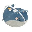 GIMNASIO DIDACTICO CARESTINO BALLENA