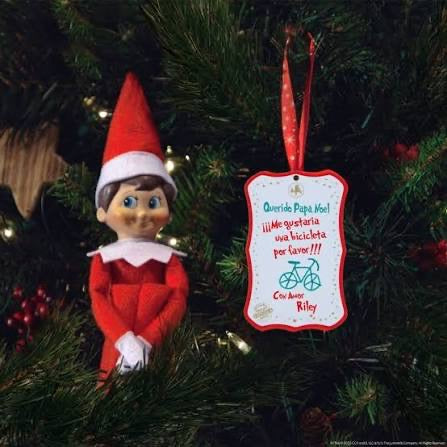 SCOUT ELF EXPRESS DELIVERS LETTERS TO SANTA MINI