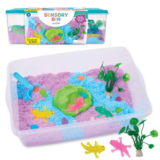 SENSORY BIN