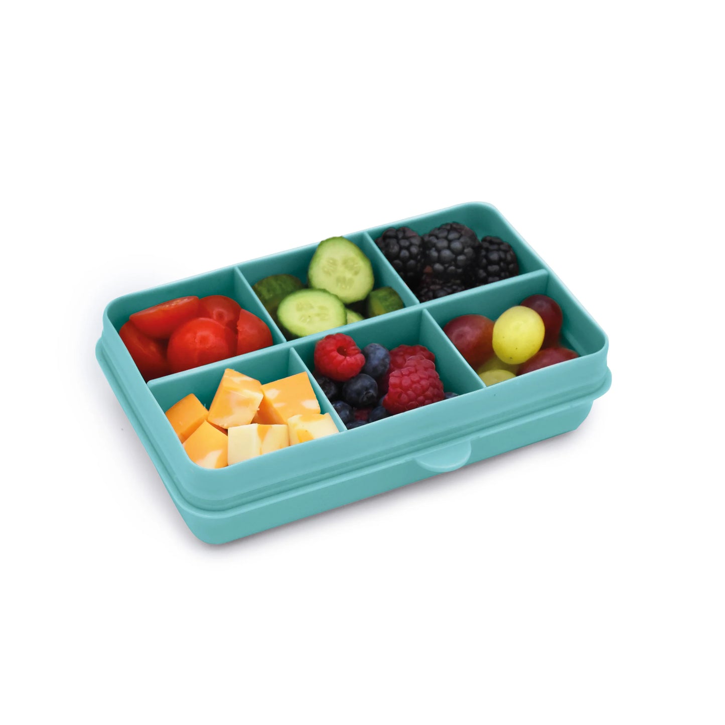 Snackle Mini- 6 Compartment - Blue