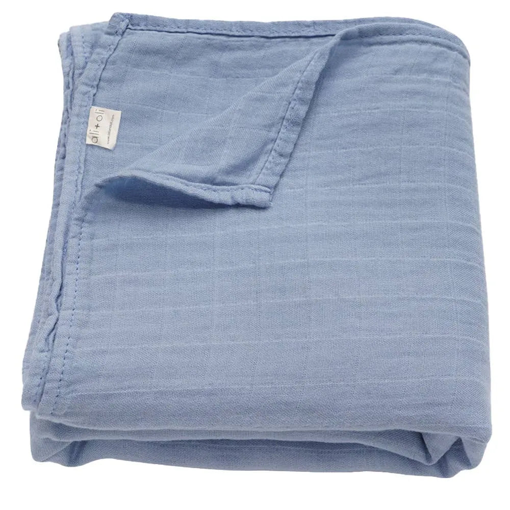 Ali+Oli Muslin Swaddle Blanket (Dream Blue) נ2