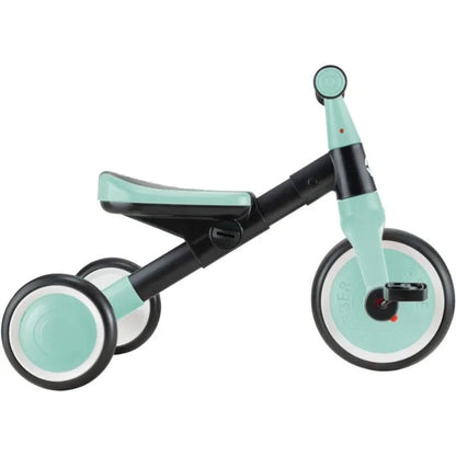 LEARNING TRIKE - Bicicleta de aprendizaje