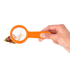 BUG VACUUM & ACCESSORIES