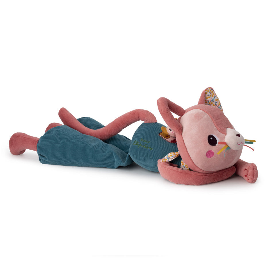 JEANNE GRAN GATO DESCUBRIDOR