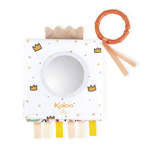 ACTIVITY BOOK THE ANGRY FOX
