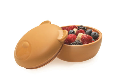 Silicone bowl with lid