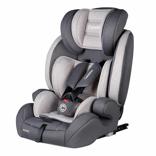 Silla para Auto Moscú Grupo I/II/III ISOFIX Gris Claro