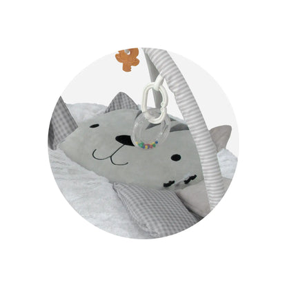 Gimnasio Didáctico Carestino GATITO