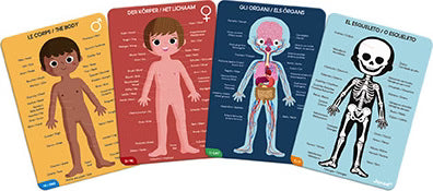 EDUCATIONAL PUZZLE: HUMAN BODY